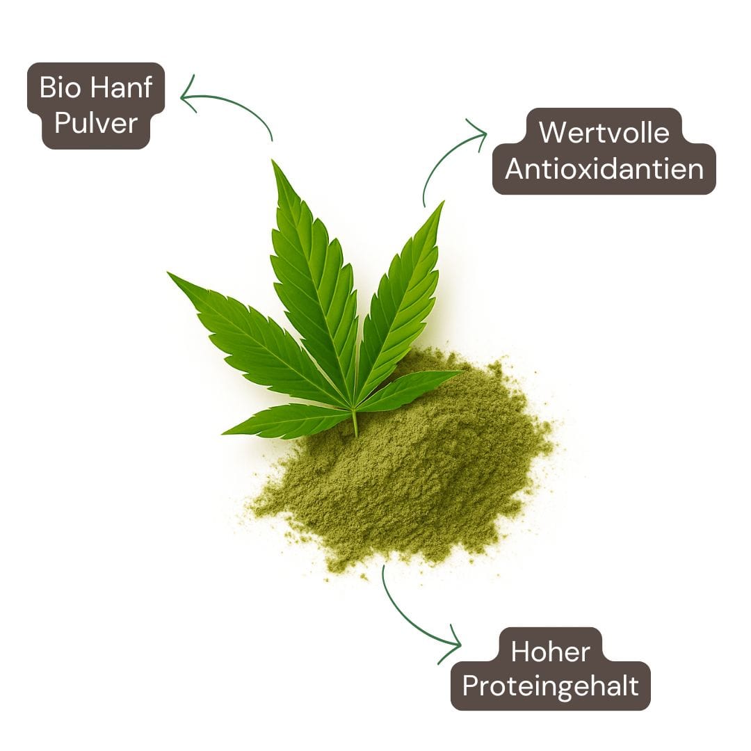 Bio Hanf Protein Pulver 300g (vegan)
